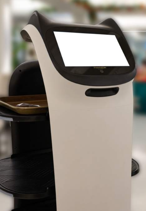 Smart home AI delivery robot