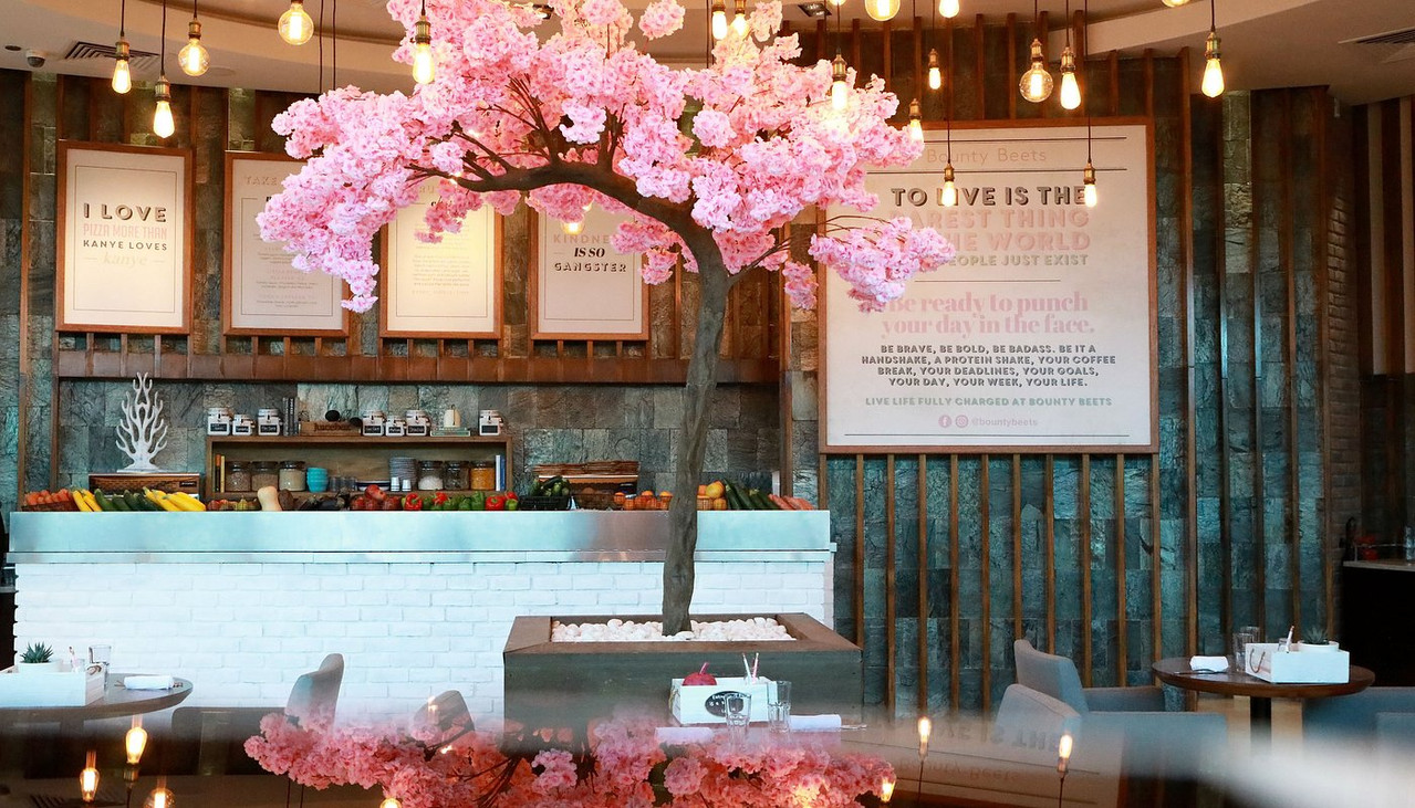An image of bounty beets with a tree in the restaurant